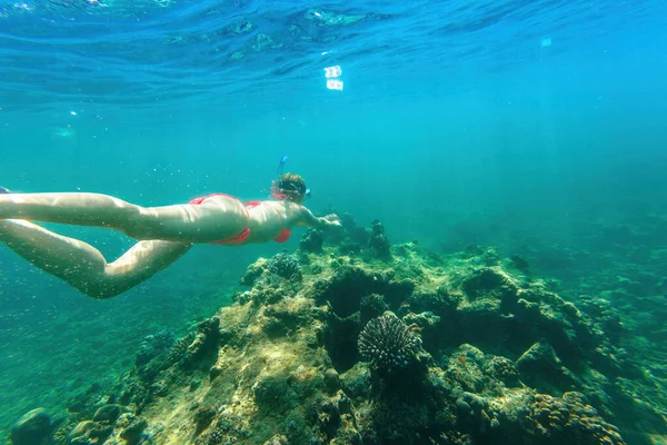 スリン諸島 アンダマン海 プーケット北部 タイのパンガー島のサンゴ礁で 赤いビキニでシュノーケリングをする女性 コサーリン海洋国立公園での水泳 水中シーン ウォータースポーツ活動 — ストック写真