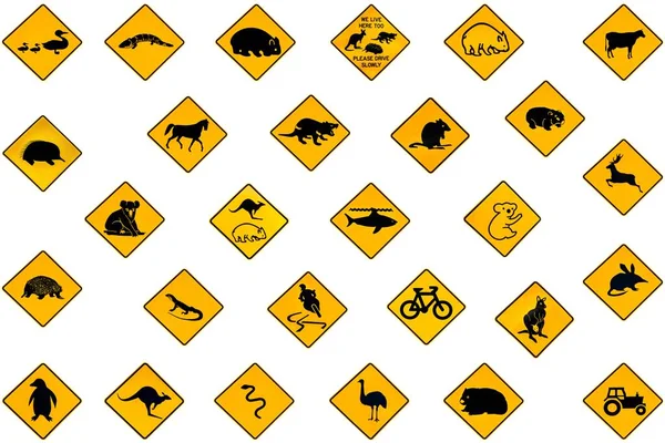 Australijski Znaki Drogowe Ostrzegawcze Australii Autostrad Dzikich Zwierząt Emu Kolczatki — Zdjęcie stockowe