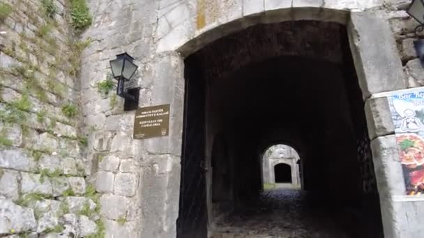 アルバニア 2023年6月9日 アルバニアのロザファ城は イリュリア人 ローマ人 ビザンチン人 オスマン人などの伝説と古代史に満ちた興味深い歴史的遺跡です — ストック動画
