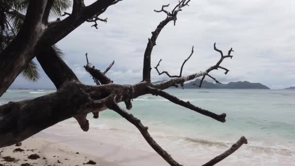 Paisaje Panorámico Atardecer Praslin Island Desde Anse Severe Beach Con — Vídeos de Stock