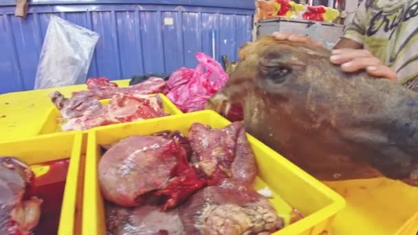 Kuala Lumpur Malasia Jan 2023 Con Carne Pescados Bazares Recintos — Vídeo de stock