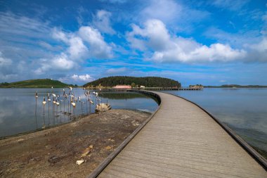 Narta Lagoon 'daki Zvernec Adası' nda Zvernec Manastırı ile birlikte tarihi bir yer. Arnavutluk 'un güneybatı kıyısındaki Vlora kenti yakınlarında yer alıyor..