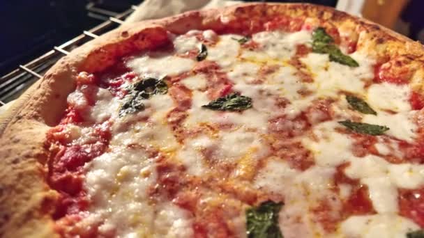 Slow Motion Margherita Pizza Zwieńczona Pomidorami Mozzarellą Liśćmi Bazylii Jest — Wideo stockowe