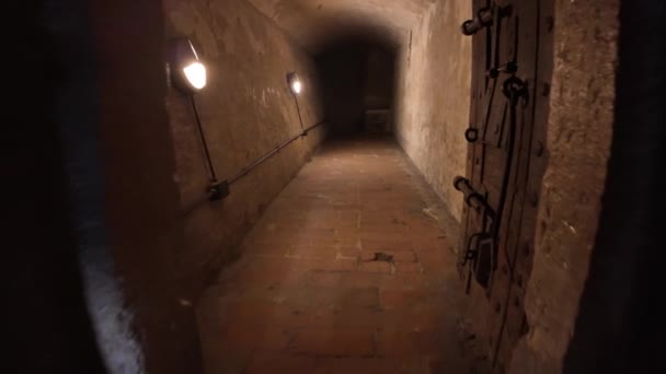 Unter Der Burg Von Ferrara Gab Versteckte Verliese Denen Die — Stockvideo