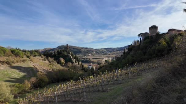 Uitzicht Vanuit Lucht Brisighella Stad Wijngaarden Lamone Valley Italië Klokkentoren — Stockvideo