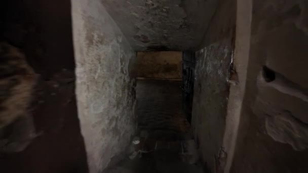 Κάτω Από Κάστρο Φεράρα Υπήρχαν Κρυμμένα Μπουντρούμια Όπου Φυλάσσονταν Πιο — Αρχείο Βίντεο