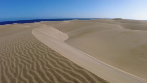 Dune Maspalomas Gran Canaria Sono Aree Protette Ospitano Una Varietà — Video Stock