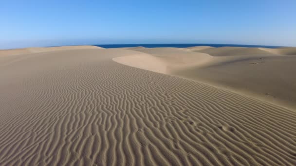 Spiaggia Maspalomas Delimitata Dalle Dune Maspalomas Lato Dall Oceano Atlantico — Video Stock
