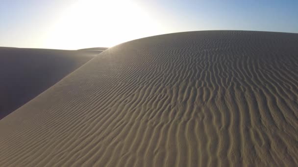 Dune Maspalomas Gran Canaria Sono Protette Ospitano Molte Specie Animali — Video Stock