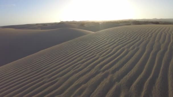 Maspalomas Dunes Ada Beberapa Perusahaan Yang Menawarkan Wahana Unta Dan — Stok Video