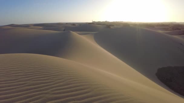 Utforska Distinkta Maspalomas Dunes Med Kamelturer Och Sandboardingturer Som Erbjuds — Stockvideo