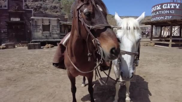 グラン カナリア 2023年4月 スーシティ公園は 伝統的な服装でカウボーイライダーとネイティブアメリカンインディアンとの乗馬ショーと写真の機会を紹介します — ストック動画