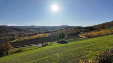 Emilian-Emilian apeninlerinin Valsamoggia köyü Emilia 'nın teraslı üzüm bağları arasındaki hava manzarası. İtalya kırsalında ve İtalya 'nın Emilia bölgesinin berbera şarabıyla ünlüdür..