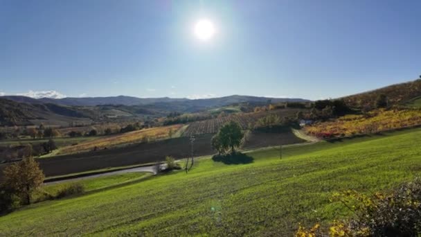 Pemandangan Udara Antara Kebun Anggur Teras Emilia Winegrowing Desa Valsamoggia — Stok Video