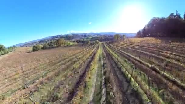 Вид Воздуха Эмилию Италии Виноградная Терраса Вальсамоджа Виноградарства Итальянской Сельской — стоковое видео