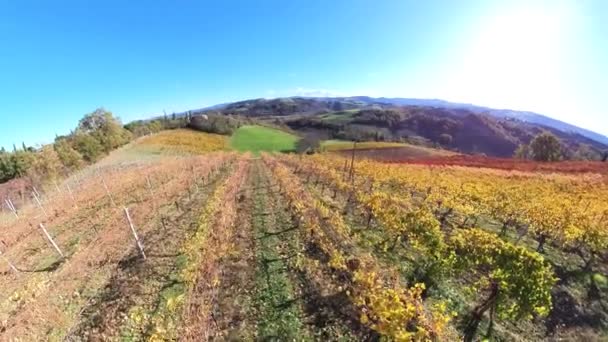 Luchtfoto Van Het Landschap Tussen Terrasvormige Wijngaarden Van Emilia Wijnbouwdorp — Stockvideo