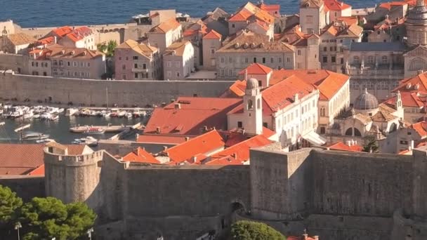Vista Aérea Las Murallas Dubrovnik Croacia Catedral Asunción Virgen María — Vídeos de Stock