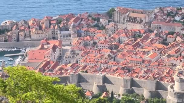 Légi Kilátás Dubrovnik Post Horvátországban Kilátás Katedrális Nagyboldogasszony Mária Templom — Stock videók