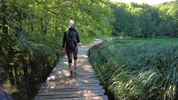 Hırvatistan Lika Bölgesindeki Plitvice Lakes Ulusal Parkı Ndan Jetty Hırvatistan — Stok video