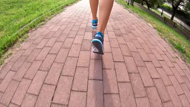 Slow Motion Веде Тренувальні Взуття Спортзалів Відкритому Повітрі Парку Бігу — стокове відео