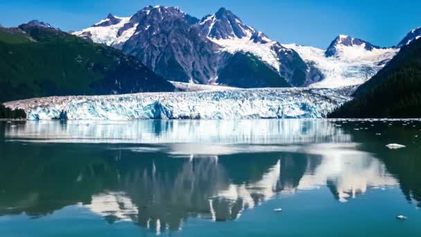 位于美国阿拉斯加州威廉王子湾的哥伦比亚号冰河中的游轮映像着大海 电影背景 — 图库视频影像