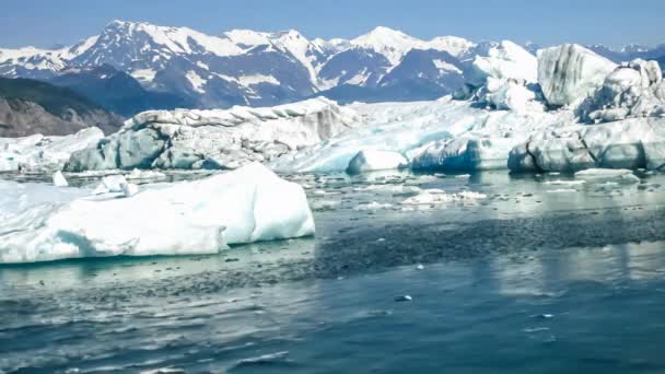 夏天威廉王子湾哥伦比亚冰川的冰山景观 美国阿拉斯加州 电影背景 — 图库视频影像