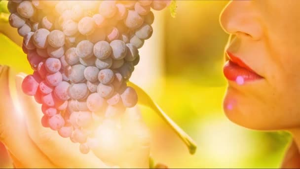 Zbliżenie Farmerki Degustującej Winogrona Drzewa Pojęcia Zdrowej Żywności Kontaktu Naturą — Wideo stockowe