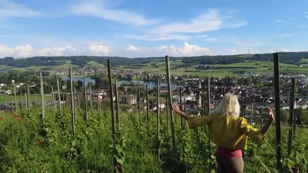 Дівчина Ходить Терасових Виноградниках Над Штейн Рейном Швейцарії Вид Повітря — стокове відео