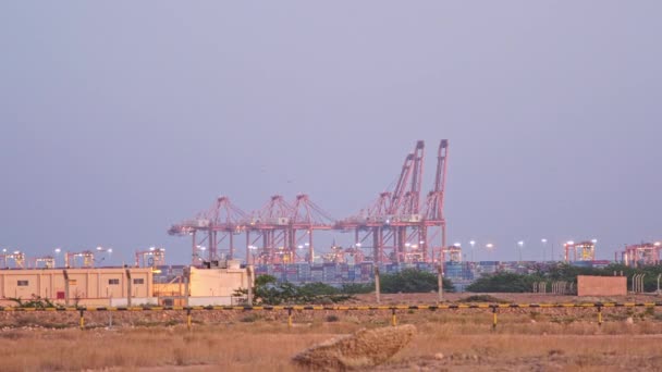Salalah Ramai Pelabuhan Senja Hari Dengan Crane Diterangi Dan Langit — Stok Video