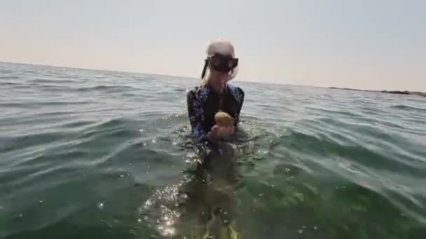 Snorkeler Duikt Bij Levendige Koraalformaties Helder Tropisch Water Chinese Wrakduikstek — Stockvideo