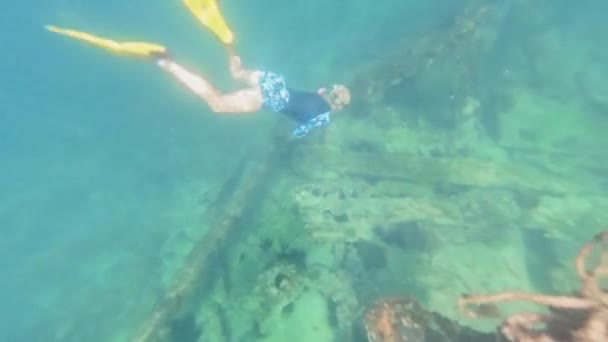 Mulher Mergulho Livre Águas Azuis Claras Rodeado Pela Vida Marinha — Vídeo de Stock