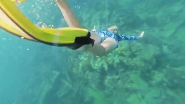 Dykare Med Gula Fenor Utforskar Den Lugna Undervattensvärlden Fångas Ett — Stockvideo