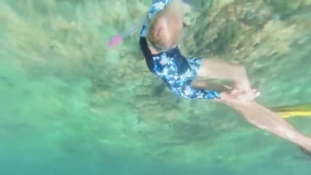Schnorcheltauchgänge Der Nähe Lebendiger Korallenformationen Klaren Tropischen Gewässern Auf Chinesischem — Stockvideo