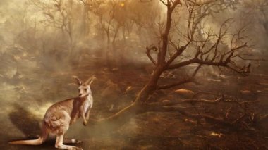 Avustralya 'nın 2020 yılındaki orman yangınlarındaki Avustralya yaban hayatı hakkında kompozisyon. Arka planda ateş olan kanguru. Ocak 2020 'de Avustralya' yı etkileyen yangın şimdiye kadar görülen en yıkıcı ve ölümcül yangın olarak kabul ediliyor.