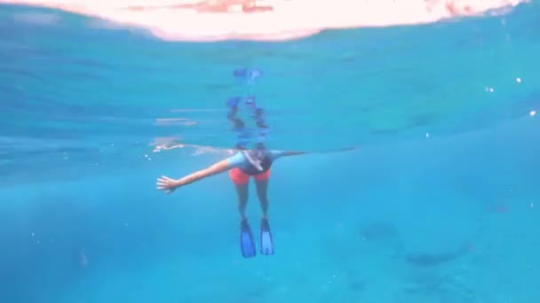 Ekscytujące Wakacje Wyspie Elba Włoszech Podwodna Przygoda Nurkowaniem Odkrywania Morskiego — Wideo stockowe