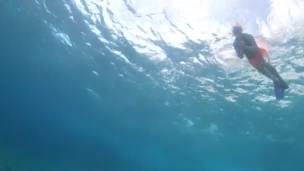 斯诺克尔从恩弗拉岛和波托费雷奥海角的蓝洞水面滑过 在上面的自然光中沐浴 意大利托斯卡纳群岛海洋保护区 — 图库视频影像