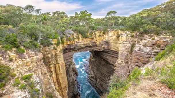 Arco Tasmania Una Formación Geológica Inusual Que Encuentra Parque Nacional — Vídeos de Stock