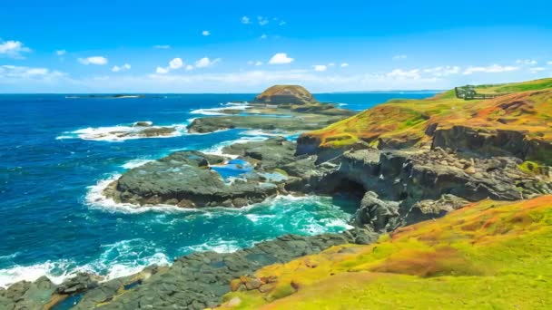 Die Spektakuläre Landschaft Nobbies Überragt Die Seal Rocks Grant Point — Stockvideo