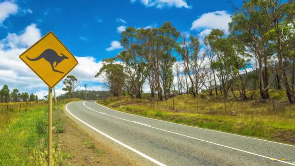 Sygnał Ostrzegawczy Dla Kangur Przechodzących Przez Austalian Country Road Kinemagraf — Wideo stockowe