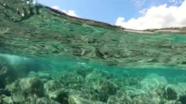 Suyun üstünde kayalık bir kıyı ve İtalya 'daki Elba Adası' ndaki Cavoli sahilinin altında canlı bir deniz altı ekosistemi gösteriliyor.