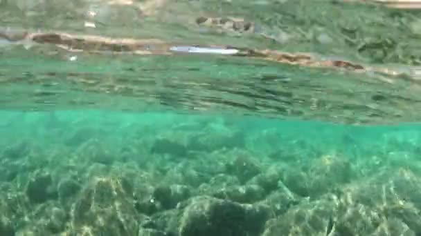 位于意大利埃尔巴岛卡沃利海滩下的一个岩石海岸和一个充满活力的水下海洋保护区生态系统 — 图库视频影像