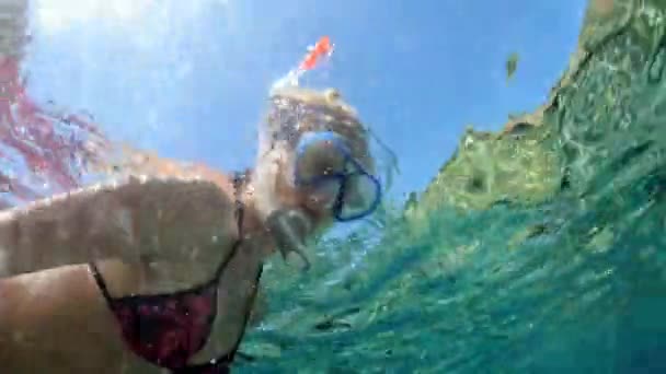Mulher Snorkeling Sob Águas Claras Praia Santo André Ilha Elba — Vídeo de Stock