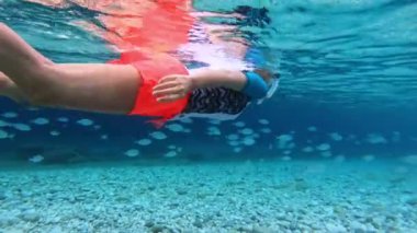 Snorkeler, aşağıda canlı deniz canlıları bulunan Ghiaie Sahili, Elba Adası 'nın kristal berraklığında sularını keşfeder. Toskana takımadaları Akdeniz 'de, İtalya açıklarında yuva yapmış..