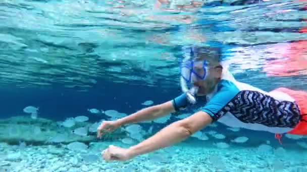 Υποβρύχια Θέα Ενός Snorkeler Μεταξύ Των Ψαριών Στα Καθαρά Νερά — Αρχείο Βίντεο