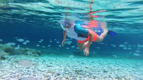 在Elba岛上的Ghiaie海滩清澈的水面上 可以看到一条在鱼中浮游的潜水艇 意大利的地中海托斯卡纳群岛 — 图库视频影像