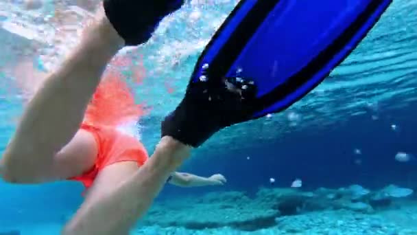 Schnorchler Erkundet Das Kristallklare Wasser Des Strandes Von Ghiaie Auf — Stockvideo
