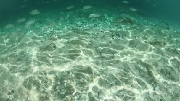 Tranquilize Vista Subaquática Com Luz Solar Filtrando Através Água Azul — Vídeo de Stock