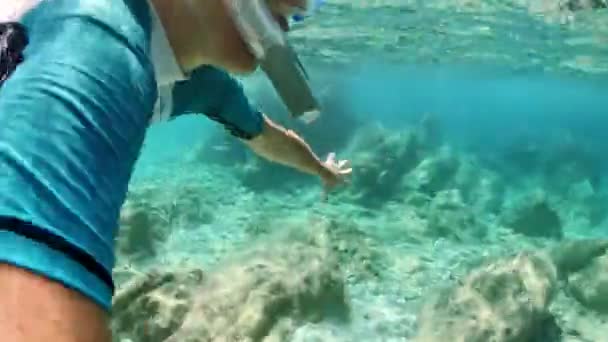 Podvodní Šnorchlování Vydává Průzkum Klidného Mořského Dna Malebné Mořské Destinaci — Stock video