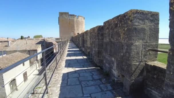 Panoramautsikt Över Den Historiska Franska Staden Aigues Mortes Från Slottsmurarna — Stockvideo