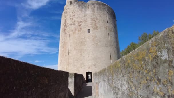 Majestueus Uitzicht Historische Toren Van Constance Versterkte Stad Aigues Mortes — Stockvideo